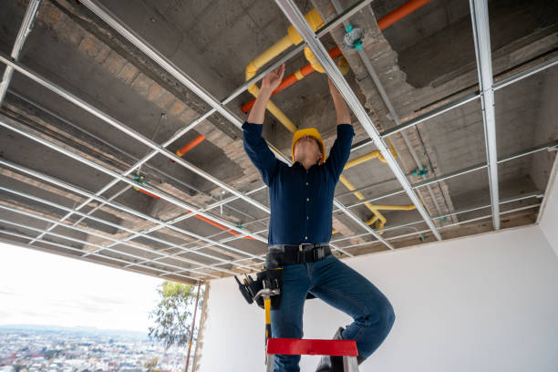 Best Emergency Plumbing Repair  in Dane, WI