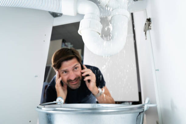 Best Faucet Repair  in Dane, WI