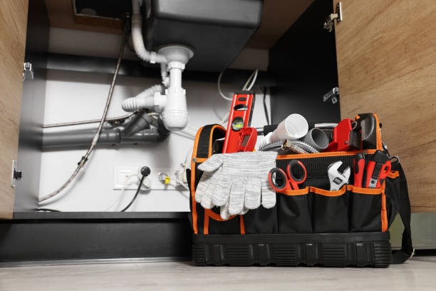 Best Residential Plumbing Services  in Dane, WI